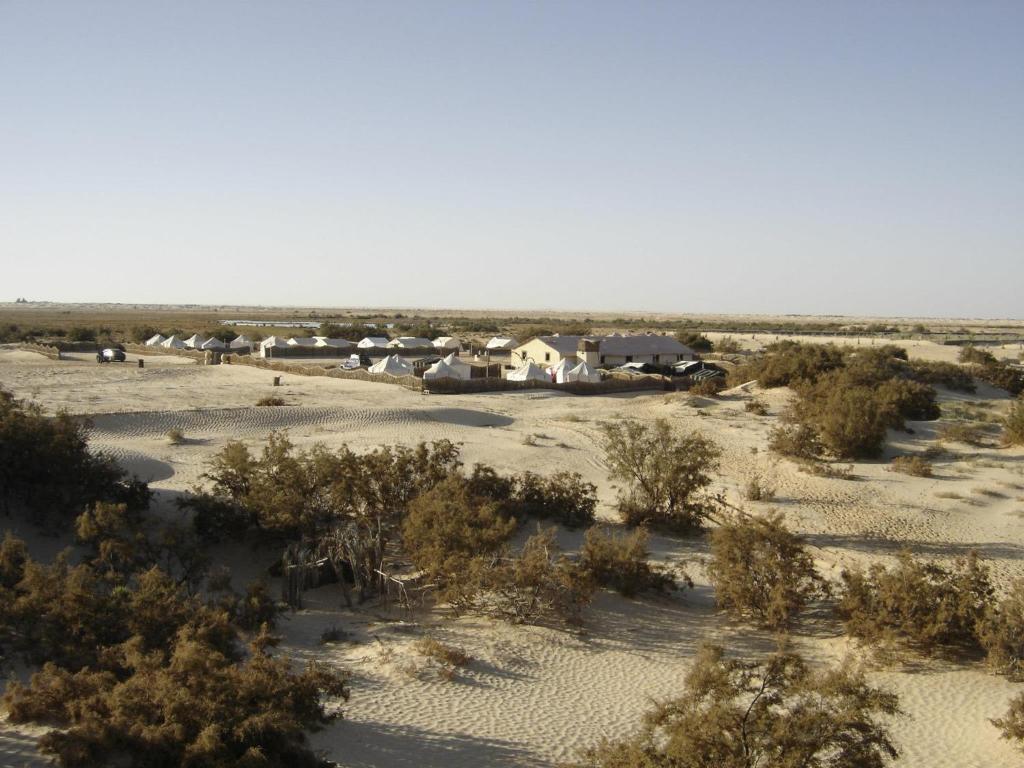 Gallery image of Campement Sahara Oasis Douz in Douz