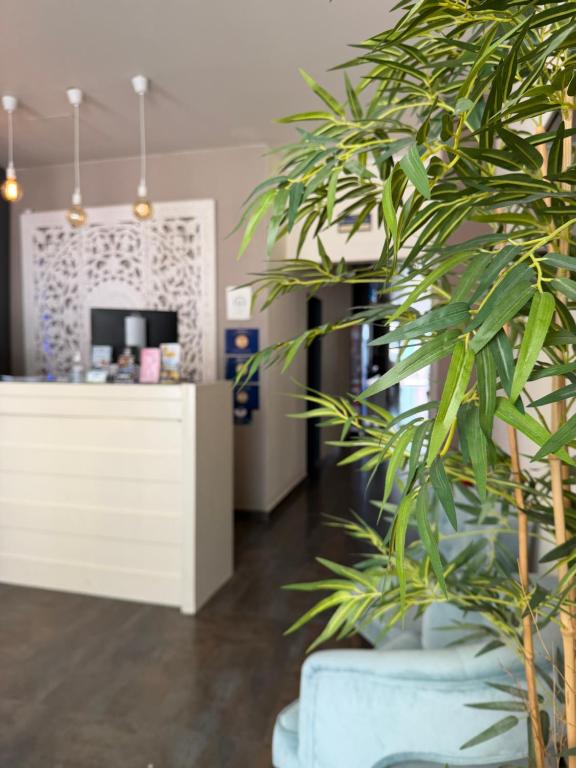 Aqua Ria Boutique Hotel photo