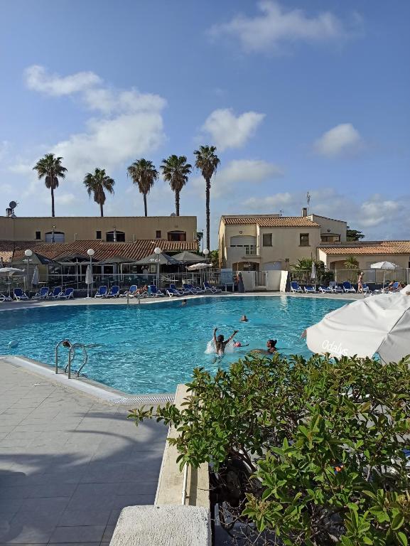 Appartement 1 chambre, piscine, terrasse entre port et plage
