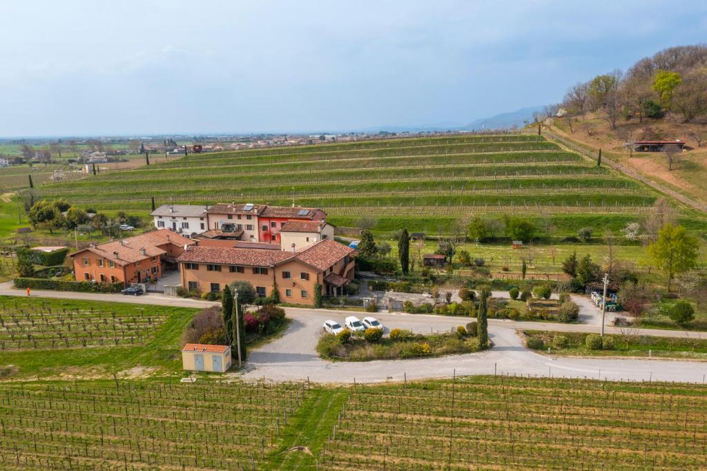 an aerial view of a house in a vineyard at Bastianich Rooms in Gagliano