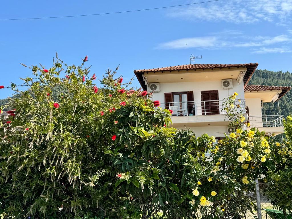 a house surrounded by trees and flowers at Artion Studios in Vourvourou