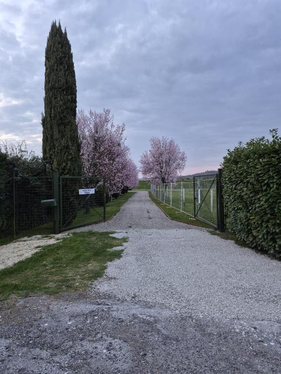 a gravel road with trees and a fence at B&B Pizziconi Relax in Podere Modello