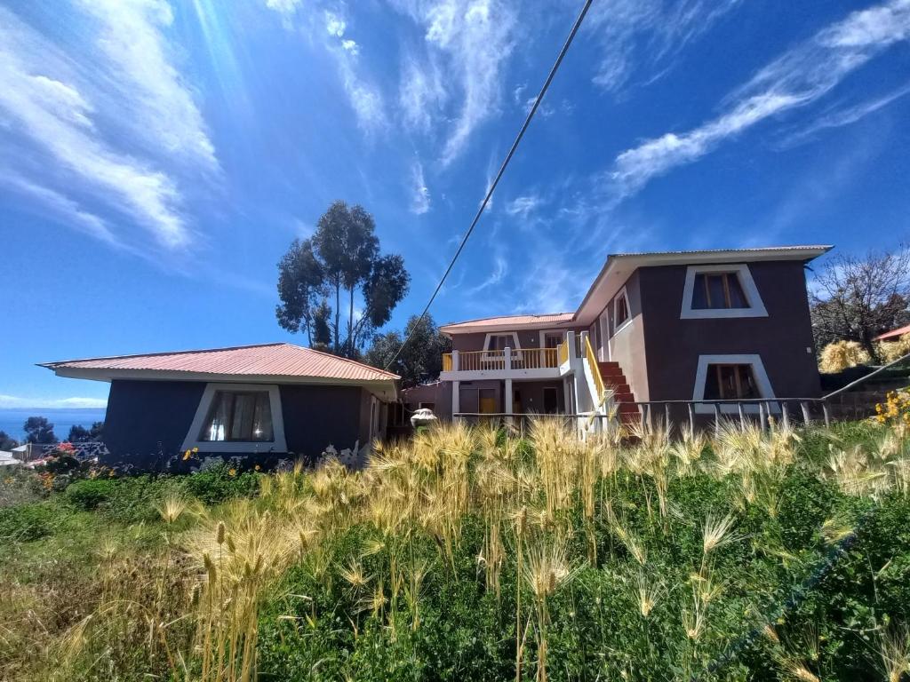 a house on top of a field of tall grass at Musiña Lodge in Ocosuyo