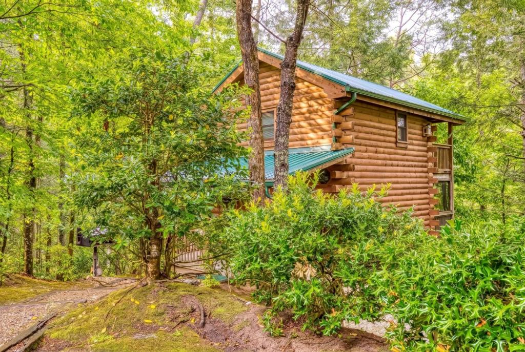 a log cabin in the woods with a dirt road in front at Precious Moments in Sevierville