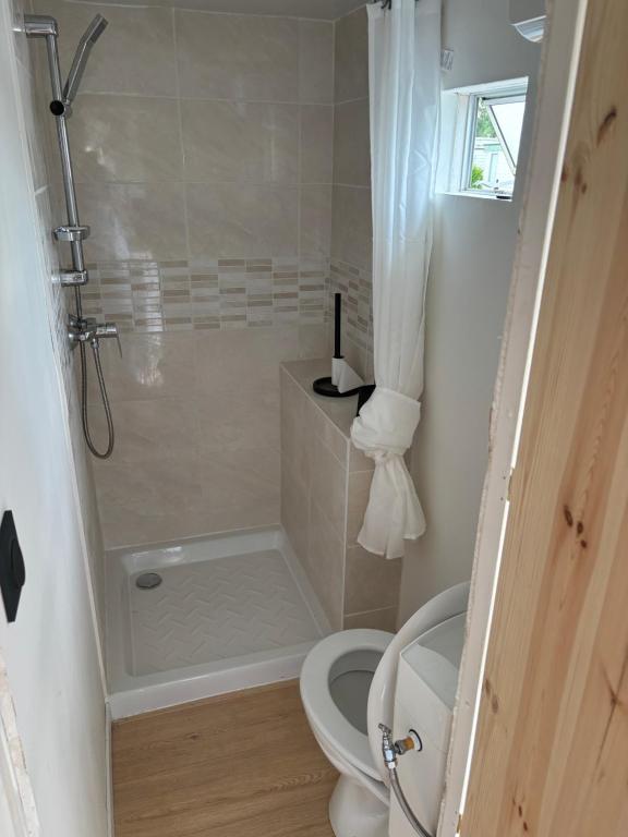 a bathroom with a shower and a toilet at Mobilhomme in Brêmes