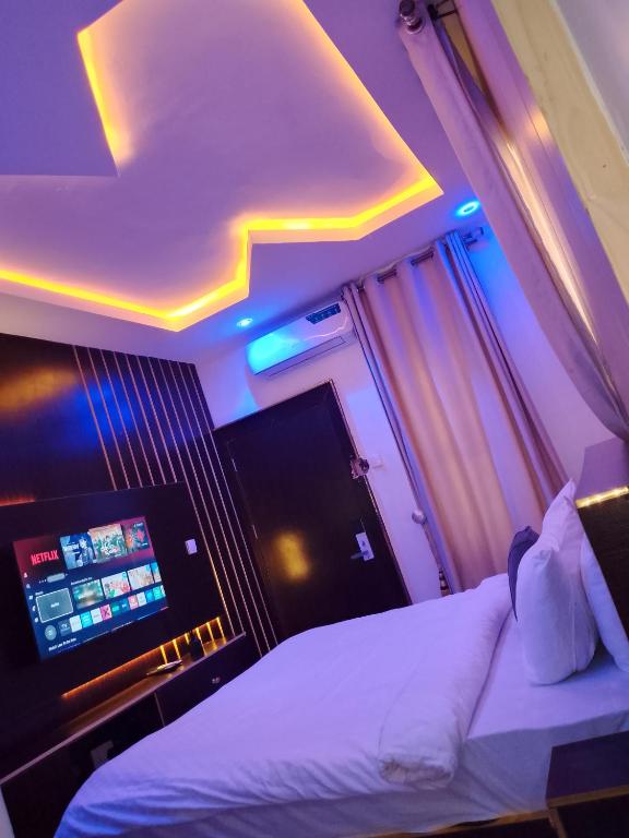 a room with a bed and a tv on the ceiling at Triumph Group in Asaba