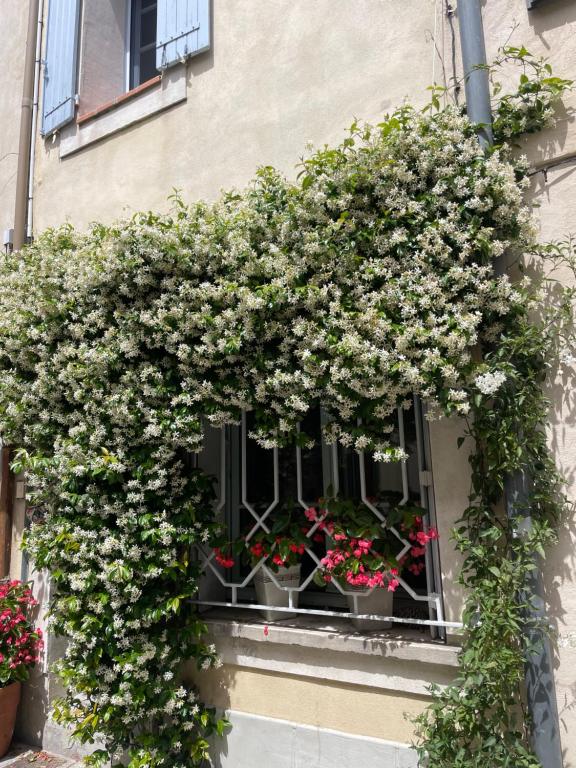 an open window with flowers on a building at Logement clim et patio centre remparts in Aigues-Mortes