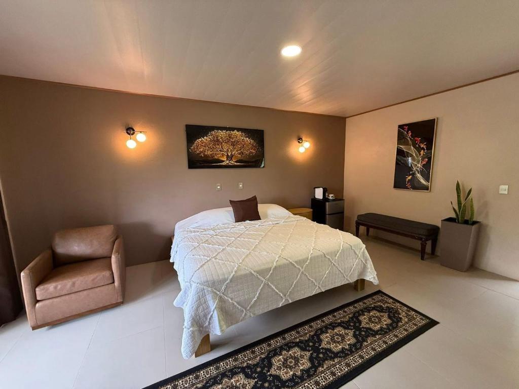 a bedroom with a bed and a chair in it at Hotel del Bosque in Río Cuarto