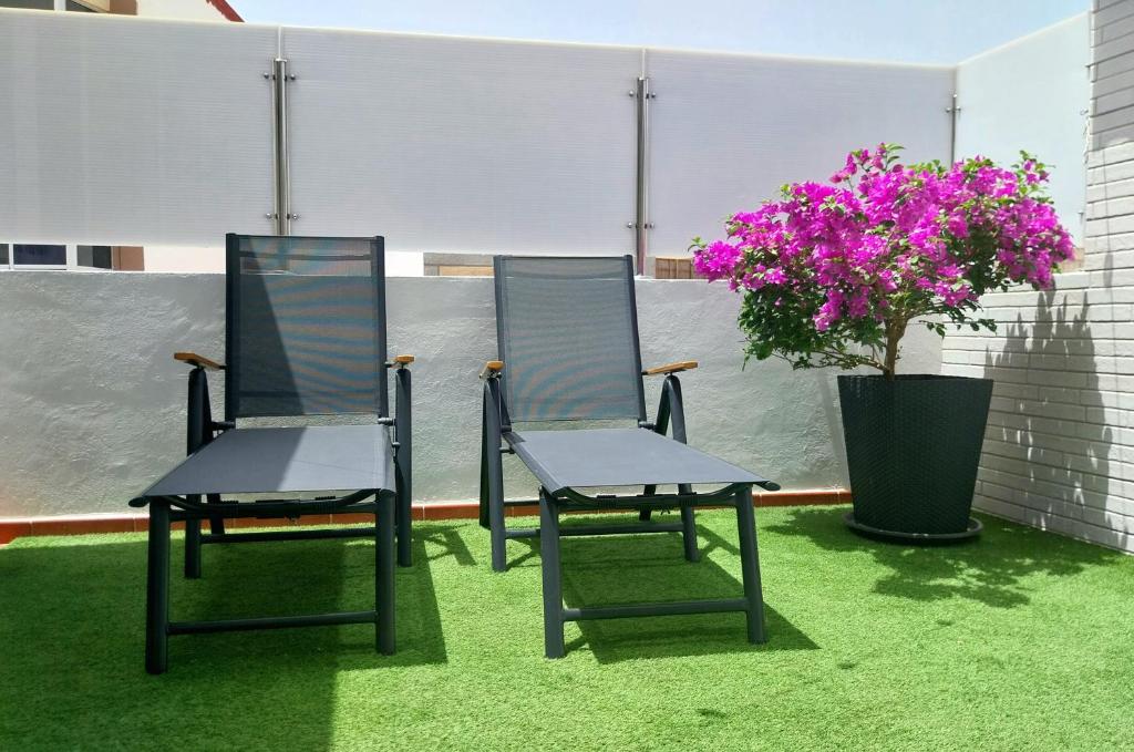 two chairs and a potted plant on a roof at Roque`s House A in Telde