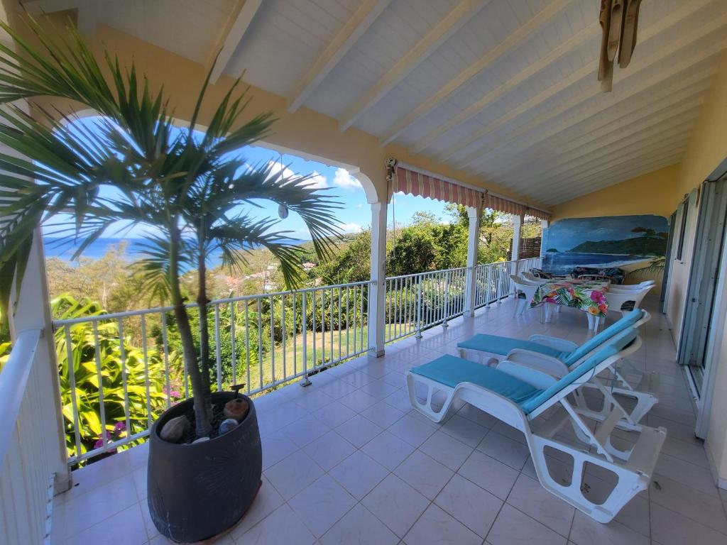 a porch with a palm tree and a table and chairs at KAZ A CE TI MOUN LA, à Deshaies in Deshaies
