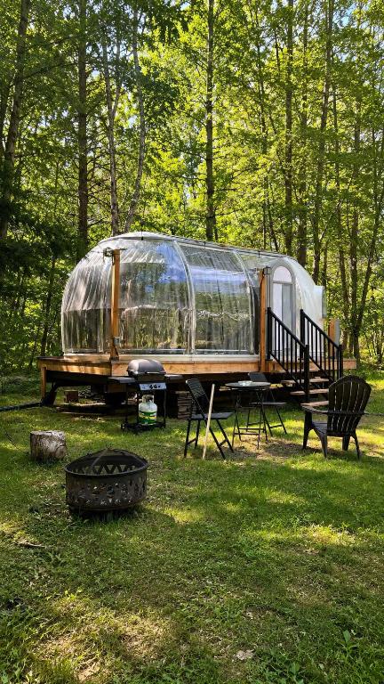 a trailer sitting on a table in the grass at Studio Capsule Sand Bay #16 in Dillon
