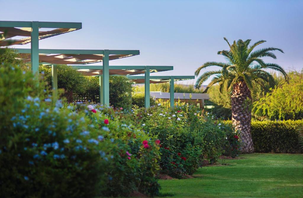 um jardim com uma palmeira e uma palmeira em Nereids Apartments em Sitia