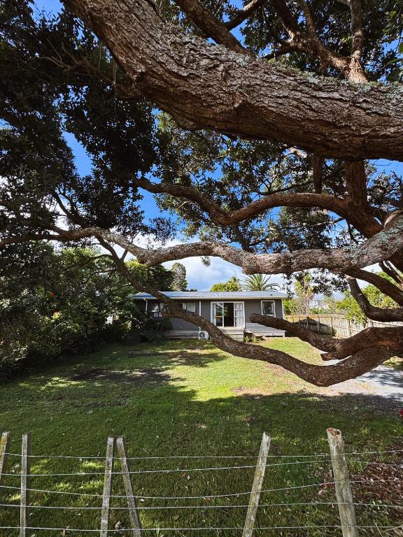 a house in a yard with a large tree at The Bach at One Tree Point in One Tree Point
