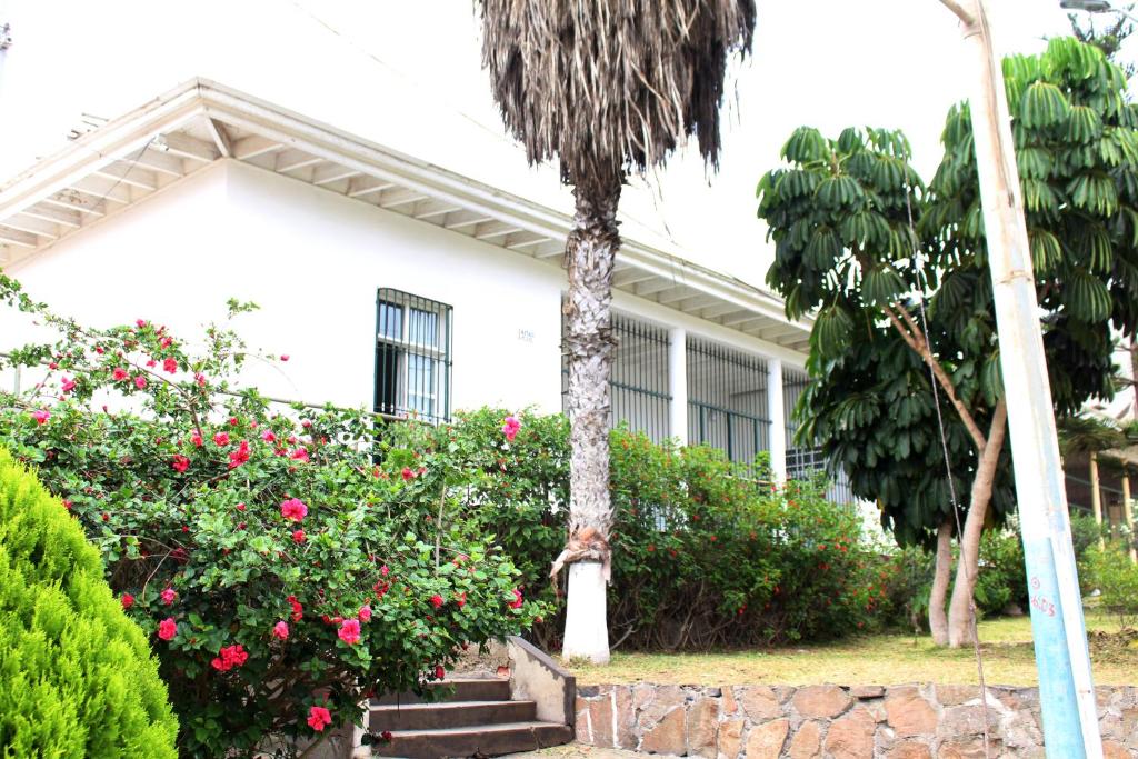 a white building with flowers and a palm tree at Apartment in Ancon in Ancón