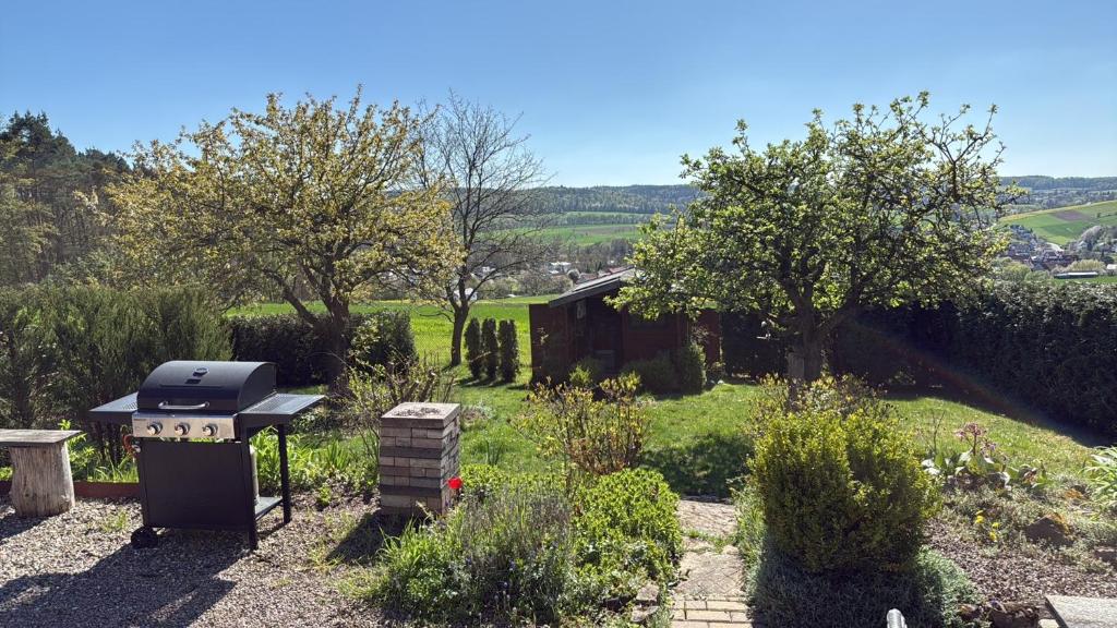a backyard with a grill in the middle of a garden at Apartment im Heidchen in Knüllwald