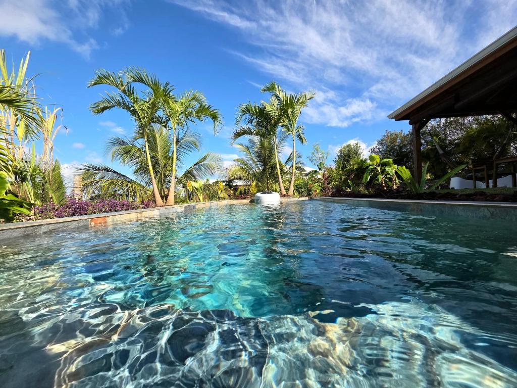 a swimming pool in a resort with palm trees at Pavillon Kanowa in Grand-Bourg