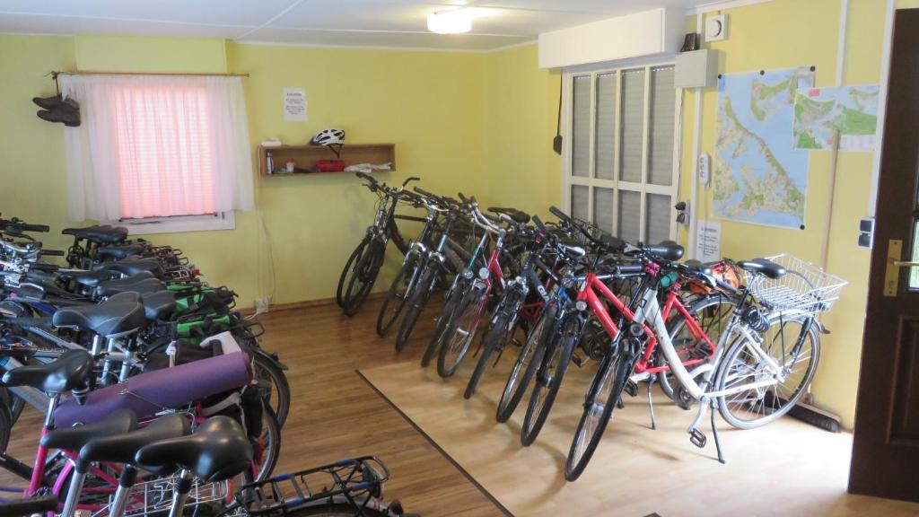 Jízda na kole v ubytování Hotel Garni Nussbaumhof nebo okolí