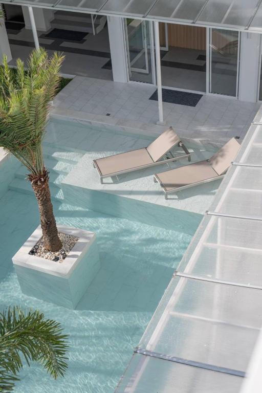 A rooftop-style pool with two in-water loungers and a palm tree.
