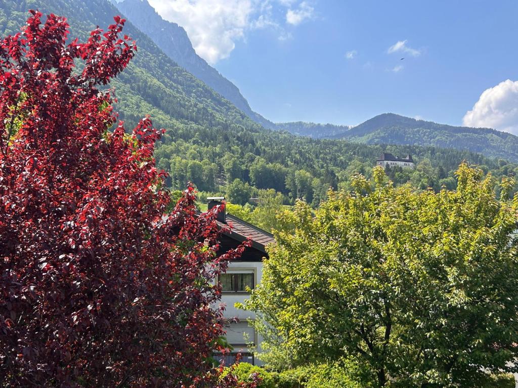 a house with trees and mountains in the background at Staufen Blick in Piding