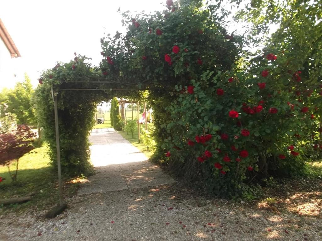 Zahrada ubytování Agriturismo La Prateria