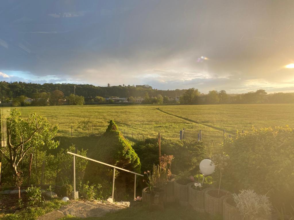 a garden with a view of a field and a fence at An der Elbaue in Pirna