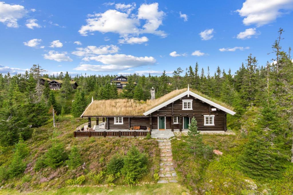 a house on a hill with a grass roof at Orreleiken in Åmot
