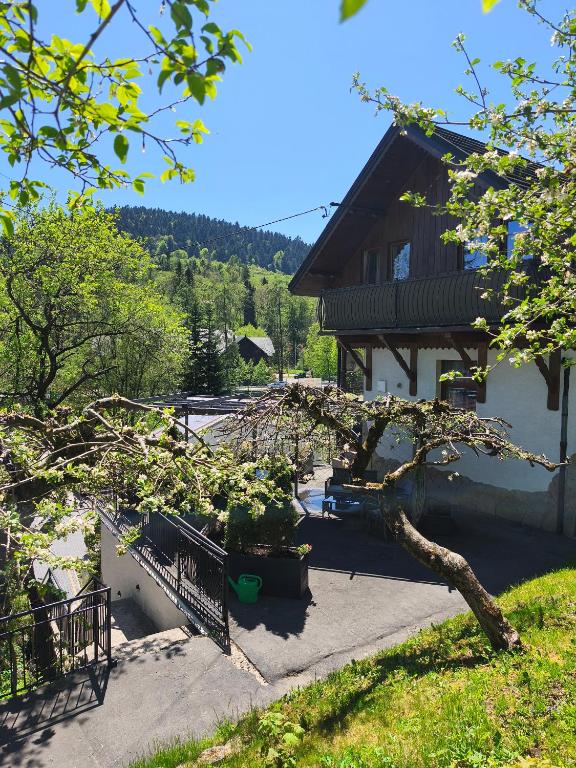 a house with some plants in front of it at "Dom Pod Grzybkiem" in Krościenko