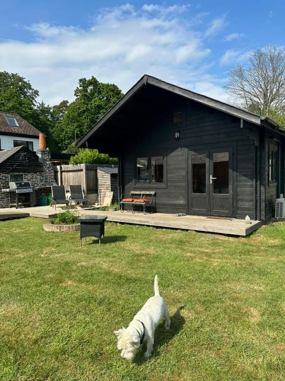 a dog standing in the grass in front of a house at Greenwood Chalet in Ottershaw