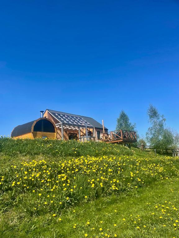 a barn on a hill with a field of flowers at Somnium Pieniny in Tylka
