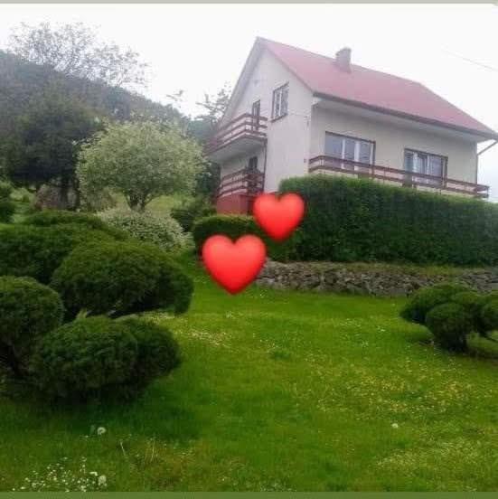 two red hearts in the yard of a house at Noclegi Renata in Solina