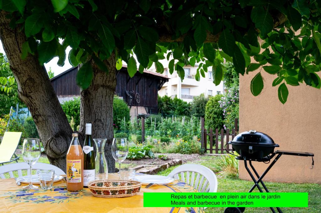 La Maison de Vacances de Colmar et son jardin – photo 9