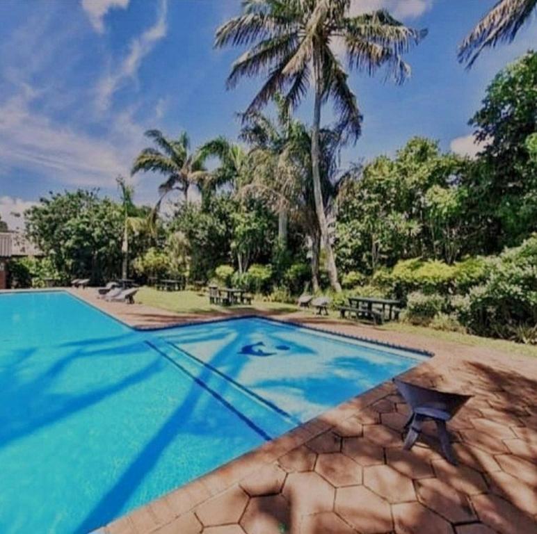 a swimming pool with a palm tree in the background at Crabb Cottage and escape in St Lucia