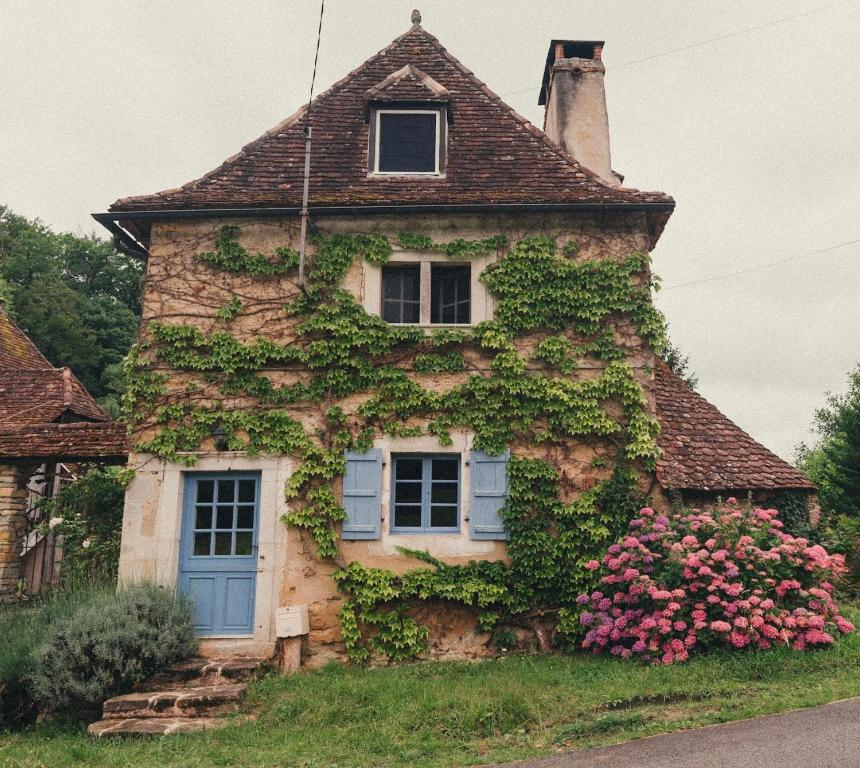 an ivy covered house with a blue door and windows at Maison Le Grand Saule in Bugnein