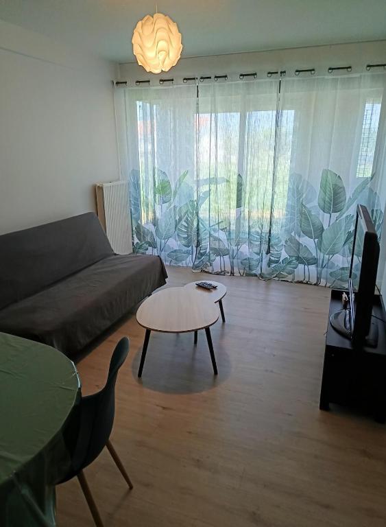a living room with a couch and a table at Appartement T1 et petite terrasse in Artiguelouve