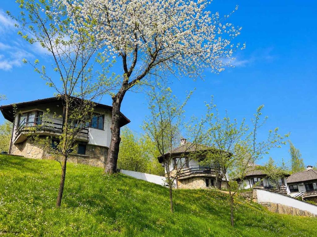 a house on a hill with trees in front of it at Комплекс Света Гора in Oreshak