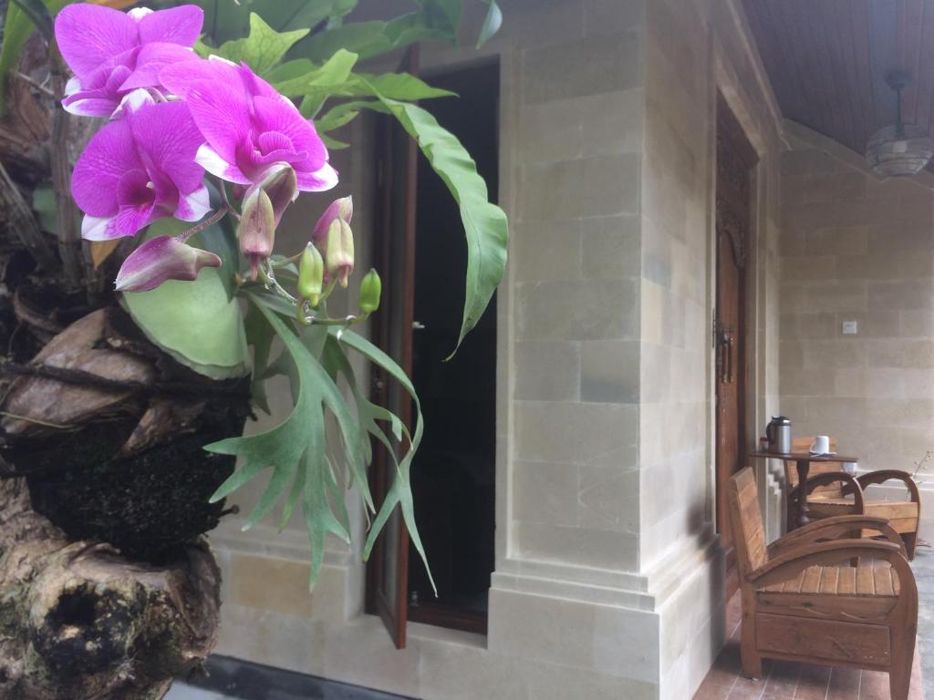 Zahrada ubytování Ubud Rooms B&B