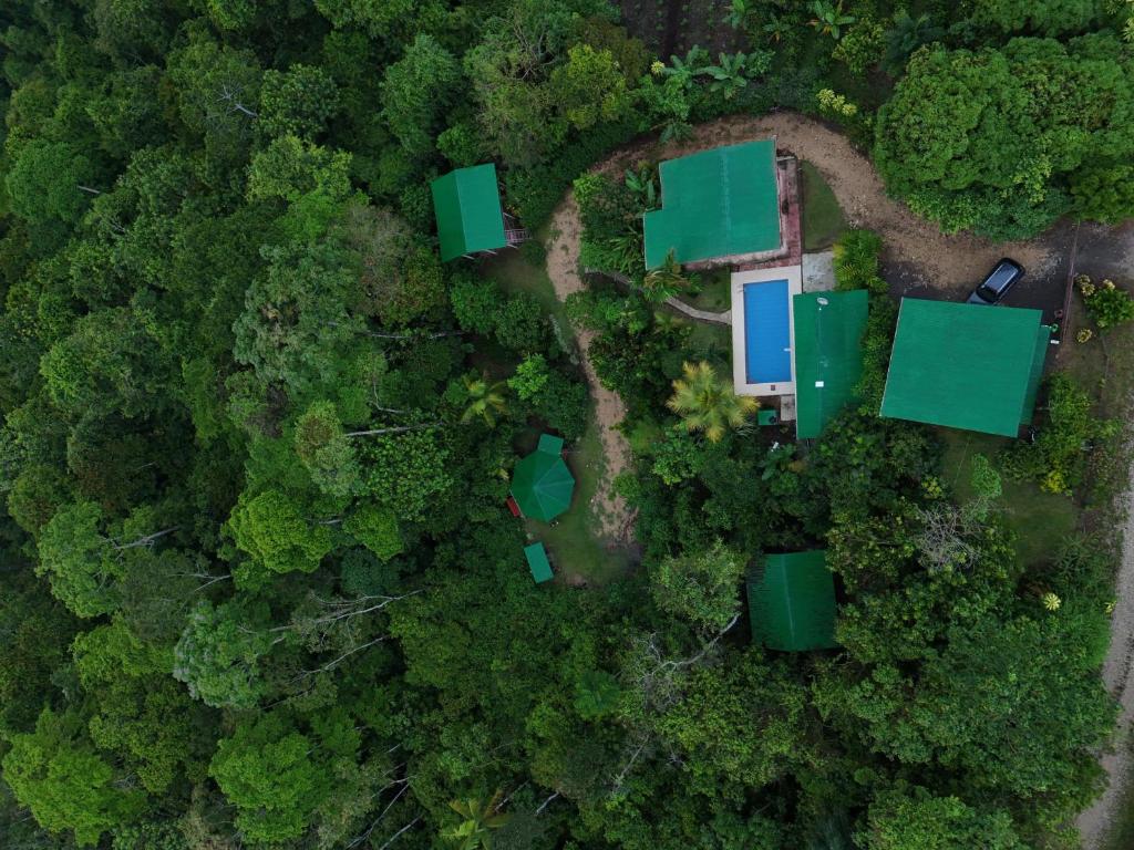 an overhead view of houses in the forest at Cabañas 7 Colinas in Coto Brus