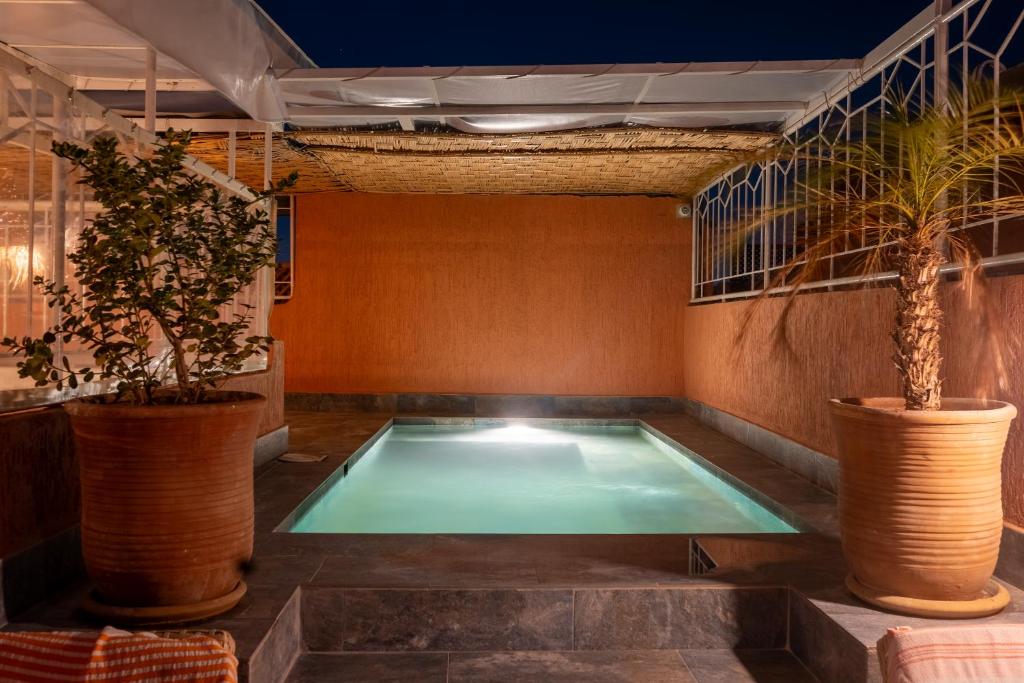 a swimming pool in a room with two potted plants at Riad DIHYA & Rooftop Pool in Marrakesh