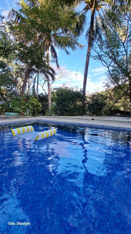 a swimming pool with yellow and white buoys in the water at Casa Avi Fauna Nature Guesthouse Y Casa AlmaCalma in Ocotal
