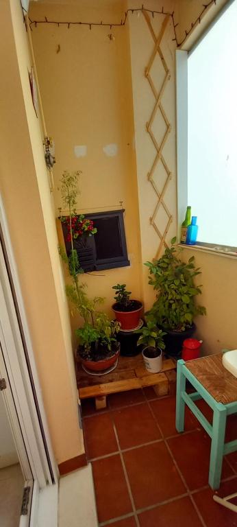 a room with potted plants sitting on a table at Rincón de Candelaria in Solórzano