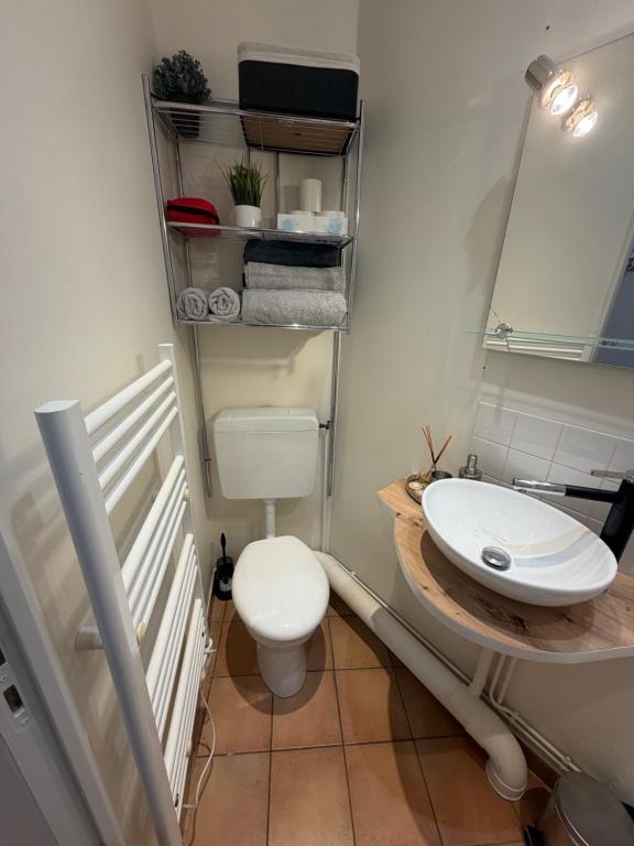 a bathroom with a sink and a toilet at Mc privé in Châtillon-Coligny
