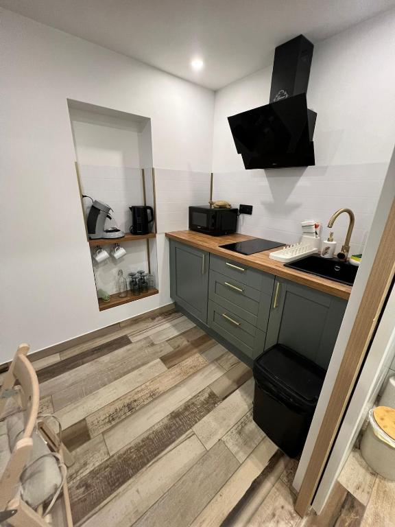 a kitchen with a sink and a counter top at Studio au Fil de l'eau in Langatte