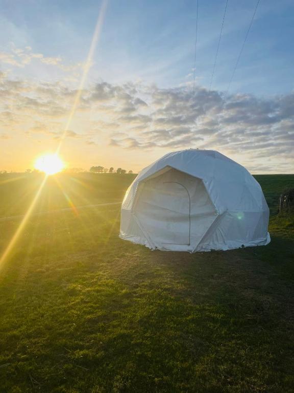 a white tent in a field with the setting sun at Ebb Dome at Estuary Escapes in Kingsbridge
