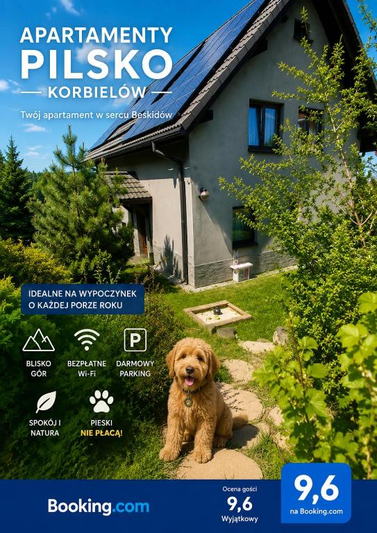 a dog sitting in front of a house at Apartamenty Pilsko Korbielów komfortowe mieszkania dla rodzin i narciarzy w Beskidach in Korbielów
