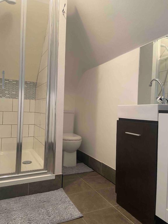 Bright Victorian flat in Manor Park, East London - 两卧室公寓
