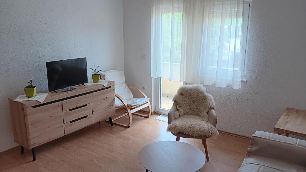 a living room with a tv and a chair at Una Relax Apartment - Naturally Cool - North-Facing - Near the River in Bosanska Krupa