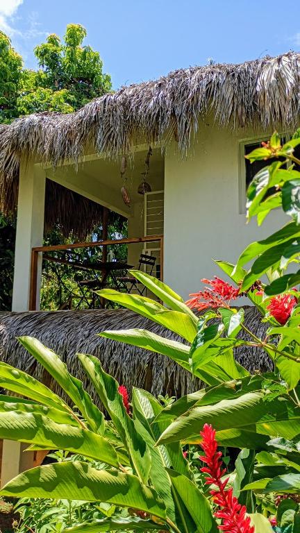 a house with a thatch roof and some plants at Quédate Aquí in Las Galeras