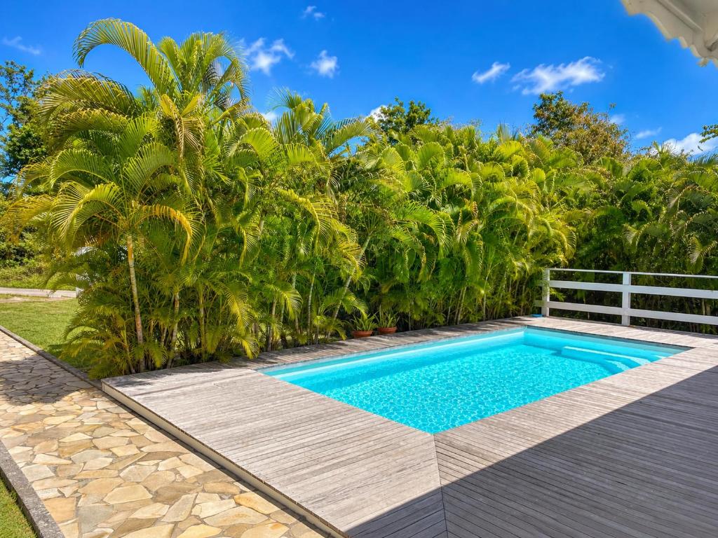 a swimming pool in a backyard with palm trees at Villa Bel Plaisi 3 chambres piscine privée Le Moule in Le Moule