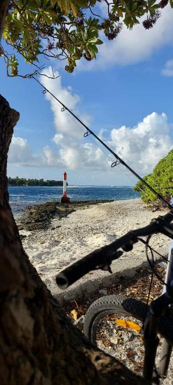 Heaiti Lodge - photo 11 - Rangiroa, Polynésie