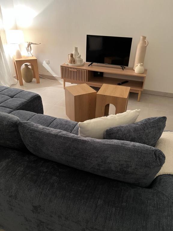 a living room with a couch and a tv at Finca Avrafina in Tarascon